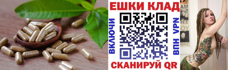 Купить  Сокол  Ecstasy 250 мг 