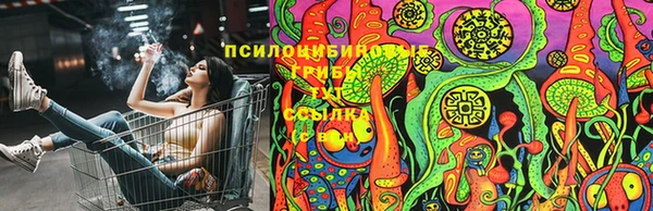 не бодяженный Алексин