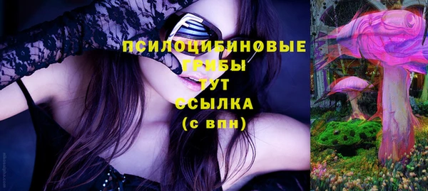не бодяженный Алексин