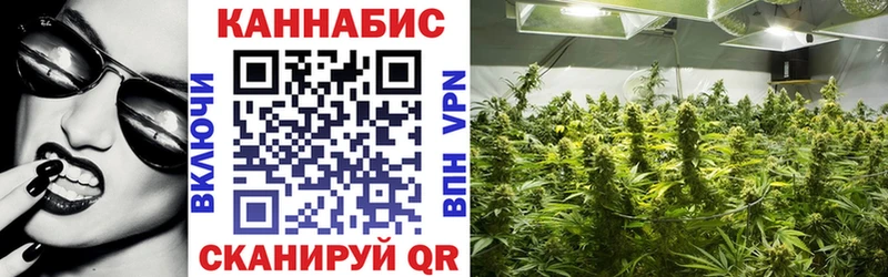 Бошки марихуана SATIVA & INDICA  Купить  Сокол 